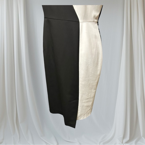 🌻 Tristan Sophisticated Colour-blocked Dress #167 - Picture 15 of 16